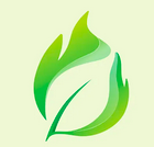 b b f s blaydon biomass fuel supplies ltd